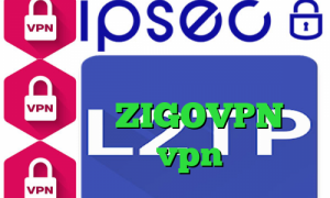 فیلتر شکن غیر نصبی تیک تاک گوگل پلی وی پی ان از کشور لیختن اشتاین ZIGOVPN میکرزvpn