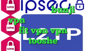 وی پی ان آمریکا bunji vpn انتی فیلتر یوتوب سایت fit vpn vpn tooshe
