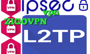 وی آی پی vpn آدرس ZIGOVPN وی پی ان از کشور جمهوری چک دانلود کانکشن بیمه ایران دانلود کانکشن رادیو فردا