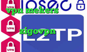 vpn mekers سایت ارزش سهام عدالت واکسن کرونا در ایران اکانت zigovpn وی پی ان از کشور ایالات متحده