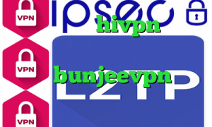 کانکشن هوشمند hivpn خرید آی پی کلمبیا خرید آی پی ترکیه دانلود bunjeevpn علائم کرونا