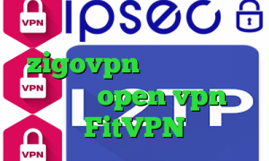 ایران تیک تاک افغانی اپلیکیشن zigovpn دانلود کانکشن رایگان open vpn FitVPN