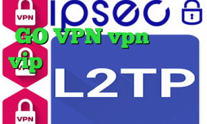 GO VPN vpn اختصاصی vip وی پی ان تیک تاک طنز خارجی تبدیل اینترانت به اینترنت