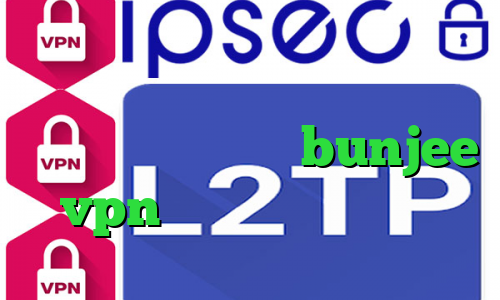 تیک تاکر های معروف پارت وی پی ان سایت امپراتور سایت bunjee vpn دانلود کانکشن مداکس