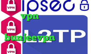 خرید vpn پاسارگاد وی پی ان از کشور قزاقستان لوکال کانکشن bunjeevpn تیک تاک متین