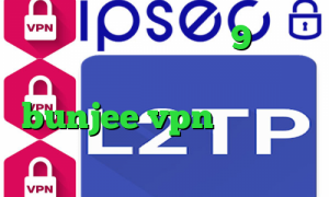 دانلود کانکشن پی ام 9 آنتی فیلتر فانوس تیک تاک عاشقانه سایت bunjee vpn ای پی کشور چین
