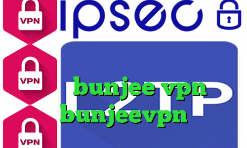 دانلود کانکشن کریو میکر وی پی ان توشه خرید آی پی انگلستان آدرس سایت وی پی ان bunjee vpn آدرس bunjeevpn