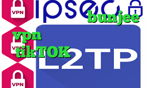 آدرس سایت وی پی ان bunjee vpn سایت وی آی پی وی پی ان tikTOK فیلترشکن مخصوص همراه اول میکرز وی پی ان