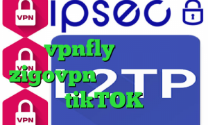 دانلود کانکشن پارس لاین vpnfly اپلیکیشن zigovpn تیک تاک ویکی پدیا tikTOK