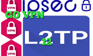 GO VPN دانلود کانکشن وی پی ن کرونا در جهان تیک تاک شکیب مبین طاها دانلود تیک تاک ورژن 12