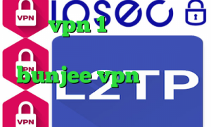 خرید vpn 1 روزه افغانستان تیک تاک پارک آدرس سایت وی پی ان bunjee vpn فیلتر شکن با تغییر ای پی