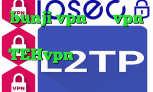 bunji vpn خرید vpn پارس لاین تیک تاک اصلی اکانت TEHvpn برنامه ی تیک تاک چیست